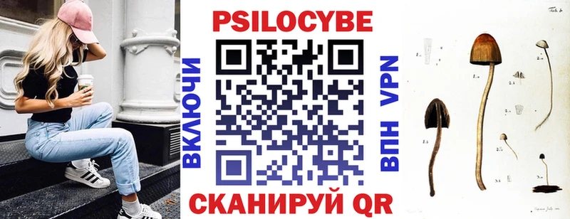 Псилоцибиновые грибы мухоморы даркнет сайт OMG онион даркнет состав Лесозаводск